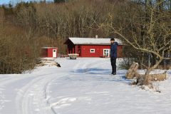 Vinter i den gamle æbleplantage – © Fotograf Tanja L. Bundgaard, 2021