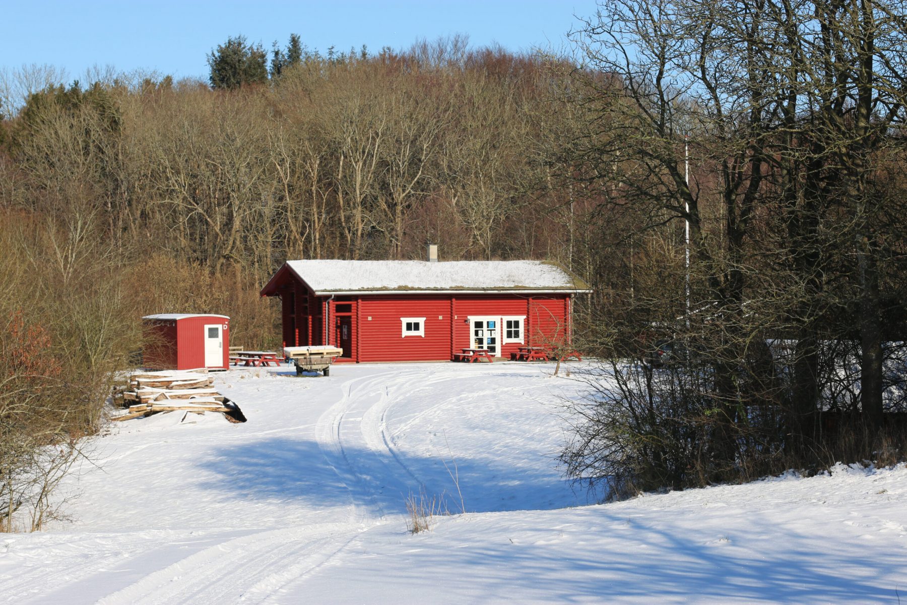Vinter i den gamle æbleplantage – © Fotograf Tanja L. Bundgaard, 2021